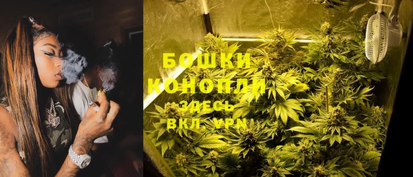 сатива Абаза