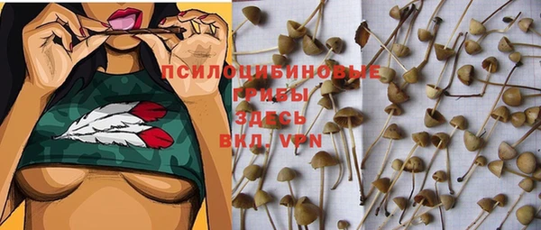 сатива Абаза