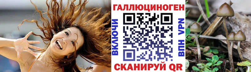 Галлюциногенные грибы ЛСД  Ирбит 